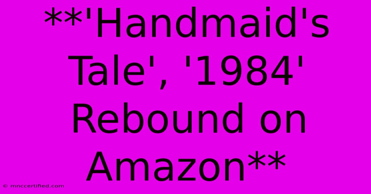 **'Handmaid's Tale', '1984' Rebound On Amazon**