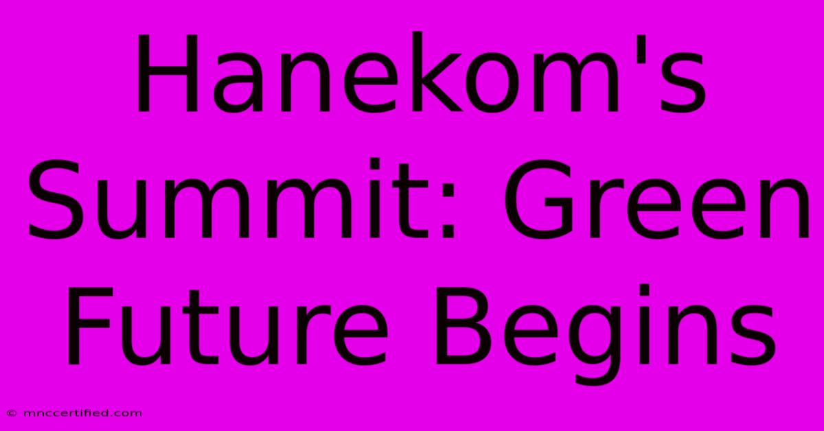 Hanekom's Summit: Green Future Begins