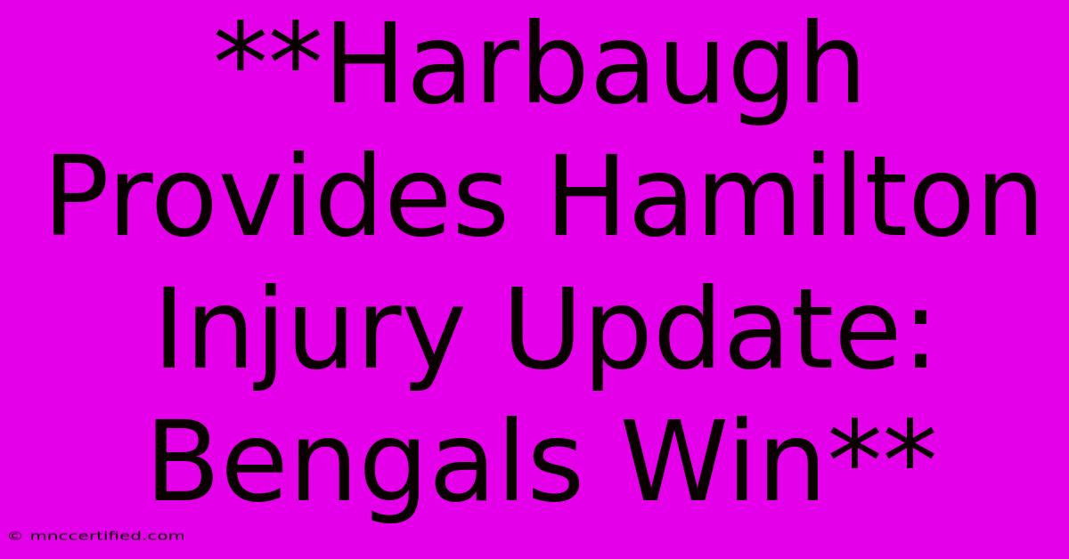 **Harbaugh Provides Hamilton Injury Update: Bengals Win** 