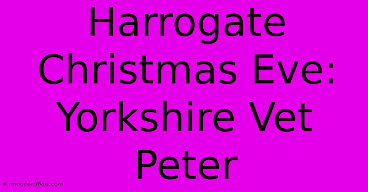 Harrogate Christmas Eve: Yorkshire Vet Peter