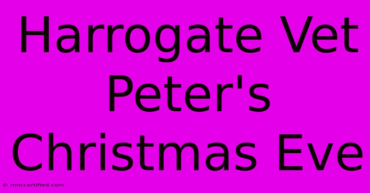 Harrogate Vet Peter's Christmas Eve