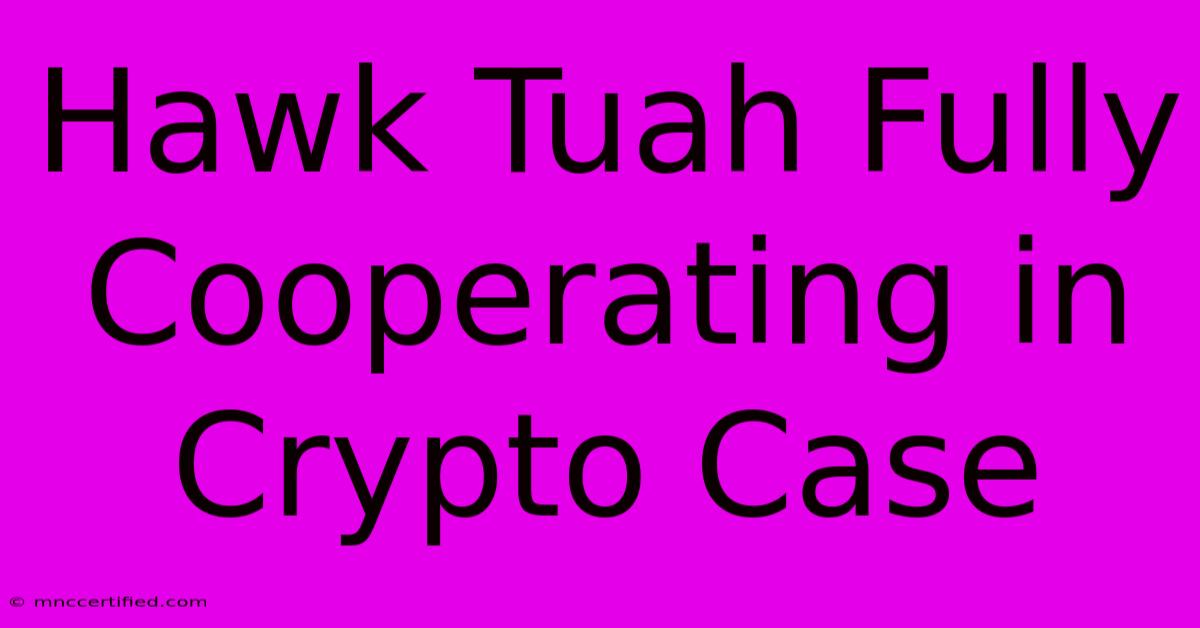 Hawk Tuah Fully Cooperating In Crypto Case