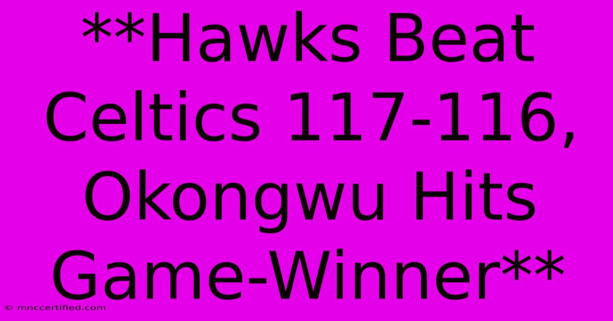 **Hawks Beat Celtics 117-116, Okongwu Hits Game-Winner** 