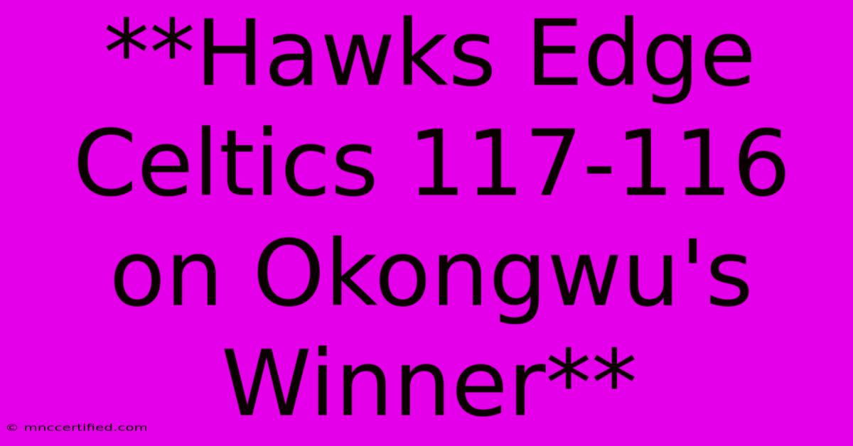 **Hawks Edge Celtics 117-116 On Okongwu's Winner**