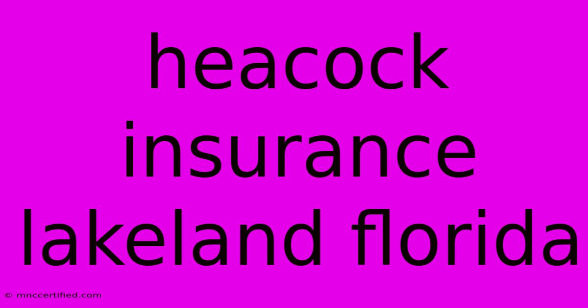 Heacock Insurance Lakeland Florida