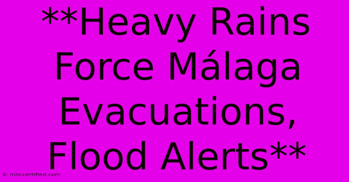 **Heavy Rains Force Málaga Evacuations, Flood Alerts**