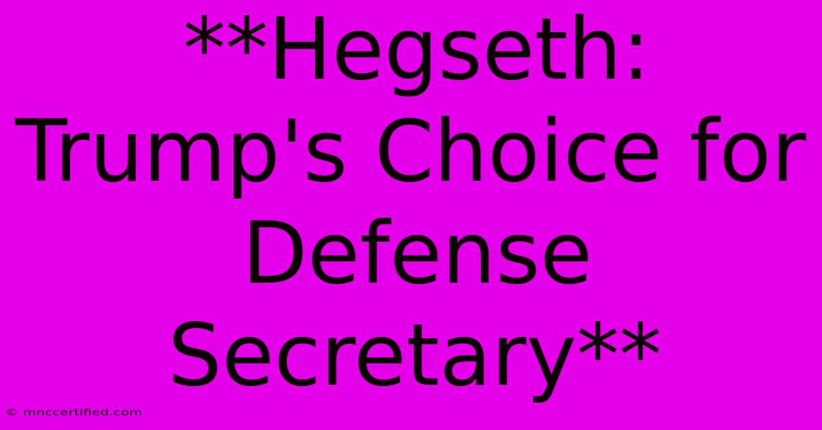 **Hegseth: Trump's Choice For Defense Secretary**