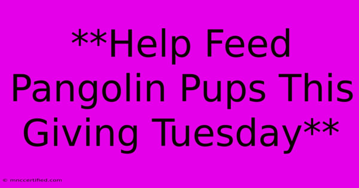 **Help Feed Pangolin Pups This Giving Tuesday**