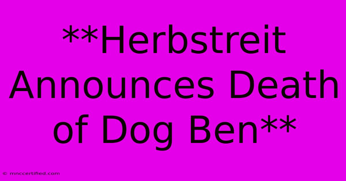 **Herbstreit Announces Death Of Dog Ben** 