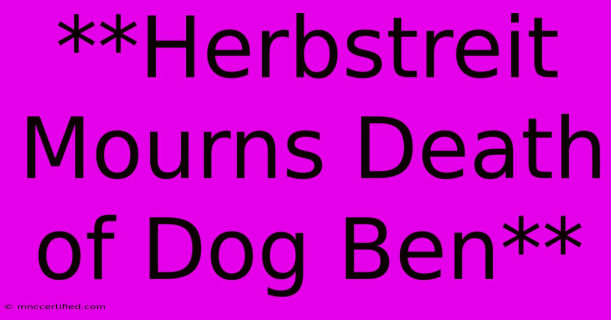 **Herbstreit Mourns Death Of Dog Ben**