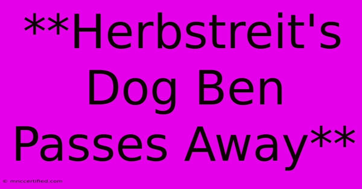 **Herbstreit's Dog Ben Passes Away**