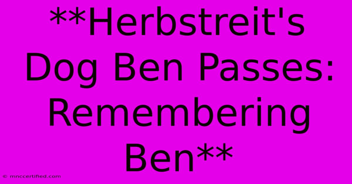 **Herbstreit's Dog Ben Passes: Remembering Ben** 