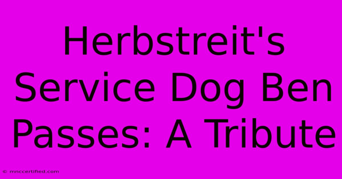 Herbstreit's Service Dog Ben Passes: A Tribute 