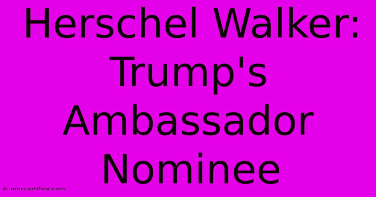 Herschel Walker: Trump's Ambassador Nominee