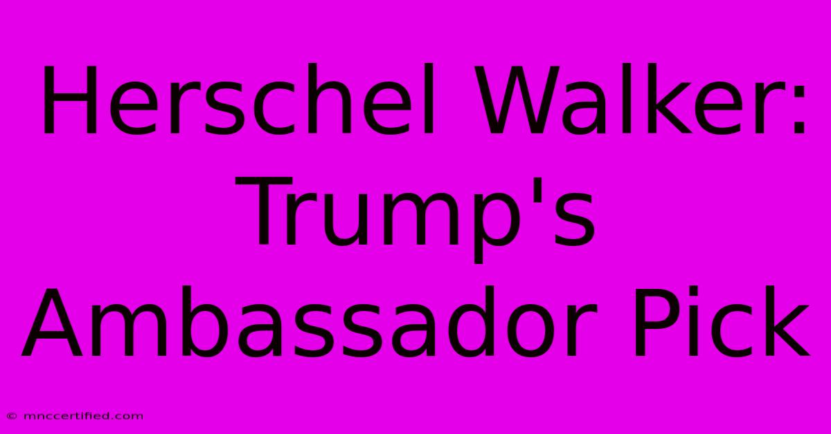 Herschel Walker: Trump's Ambassador Pick