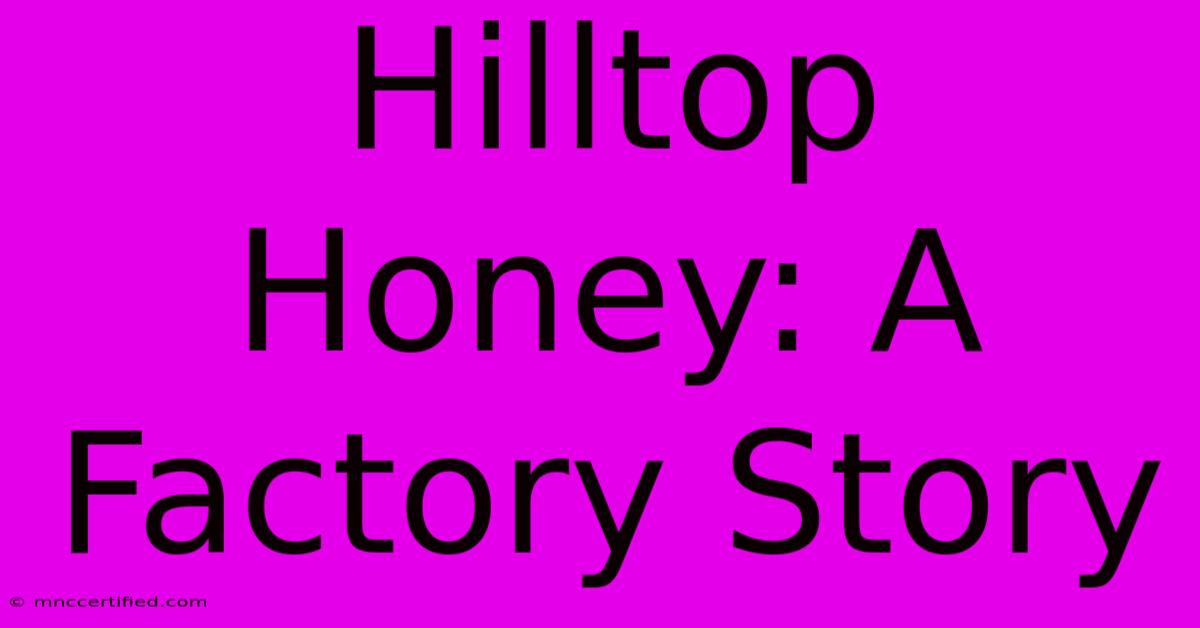 Hilltop Honey: A Factory Story