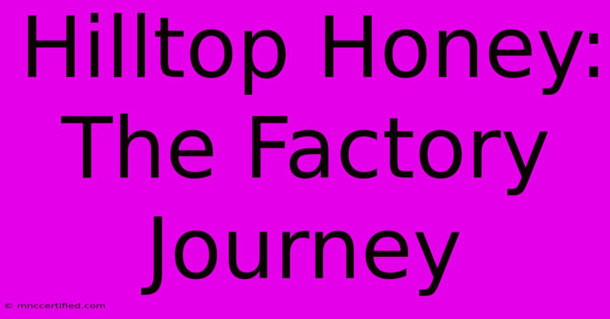 Hilltop Honey: The Factory Journey