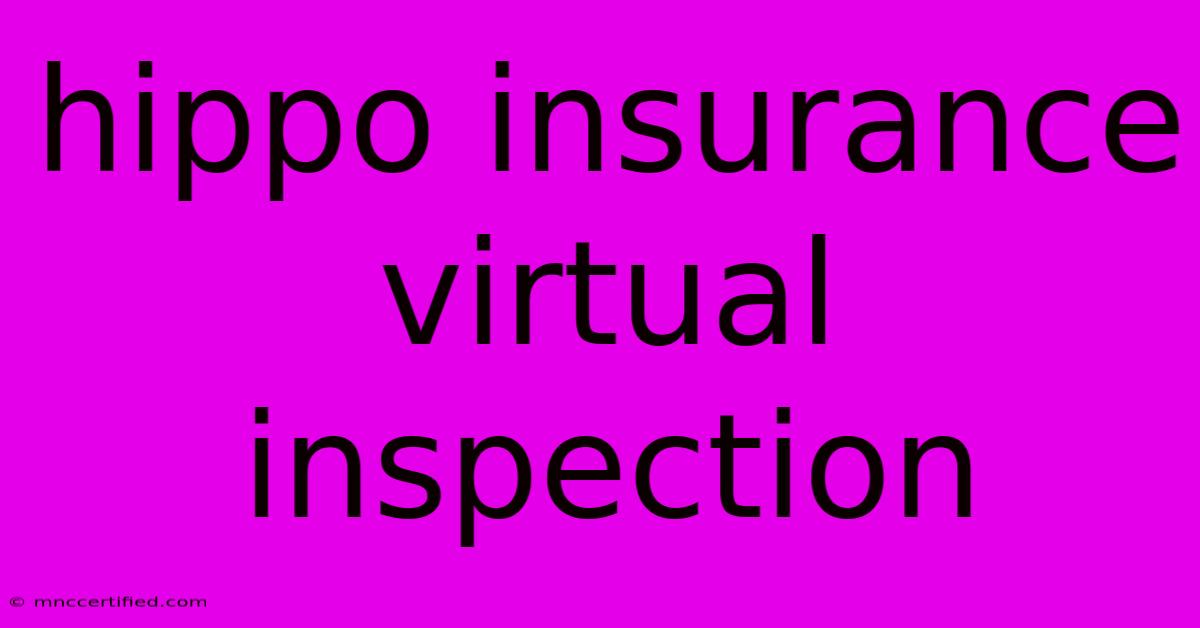 Hippo Insurance Virtual Inspection