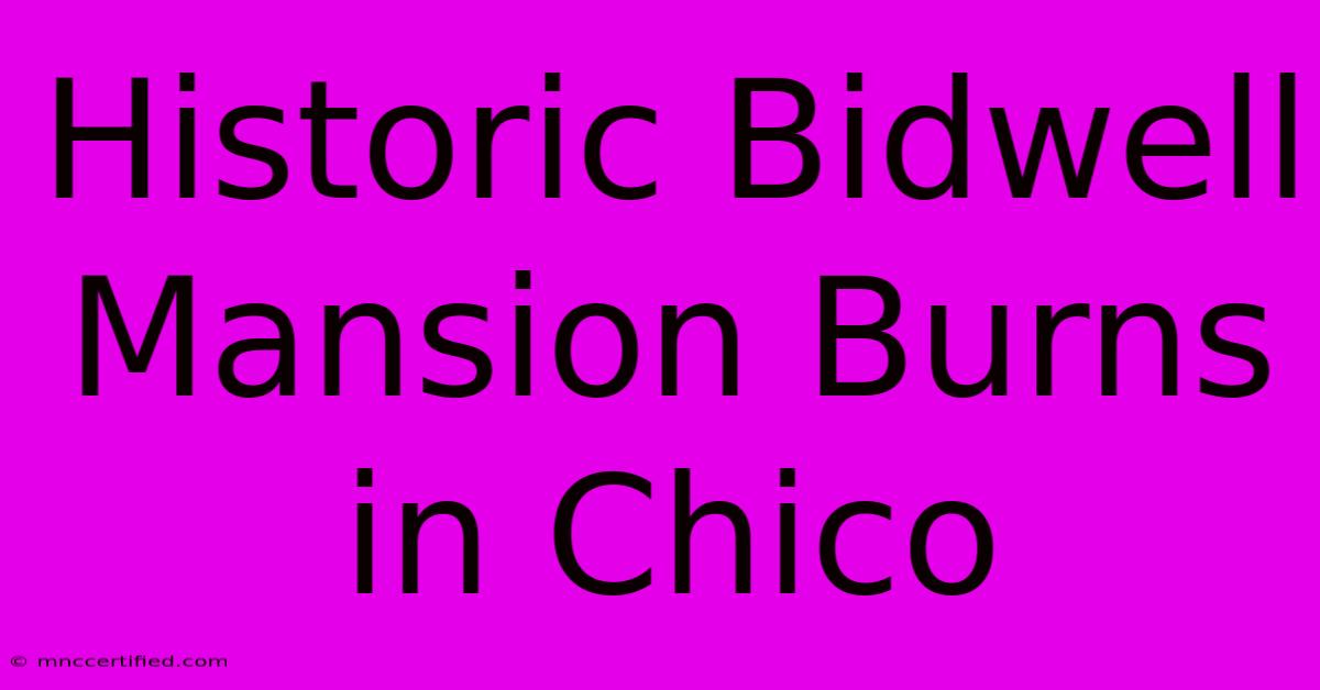 Historic Bidwell Mansion Burns In Chico