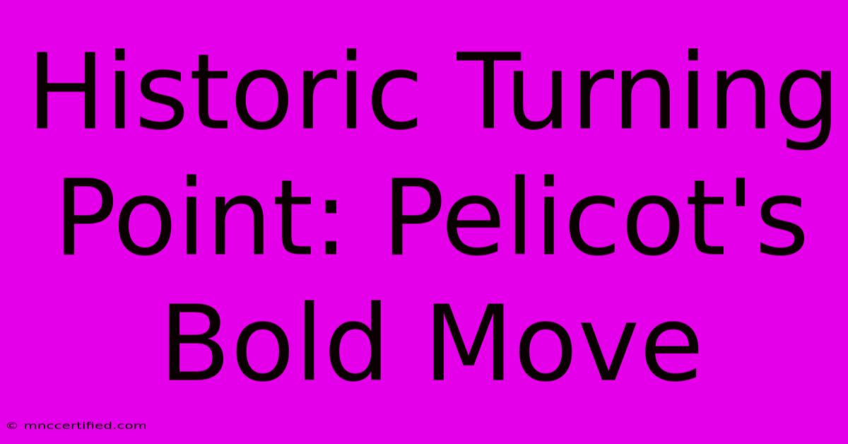 Historic Turning Point: Pelicot's Bold Move