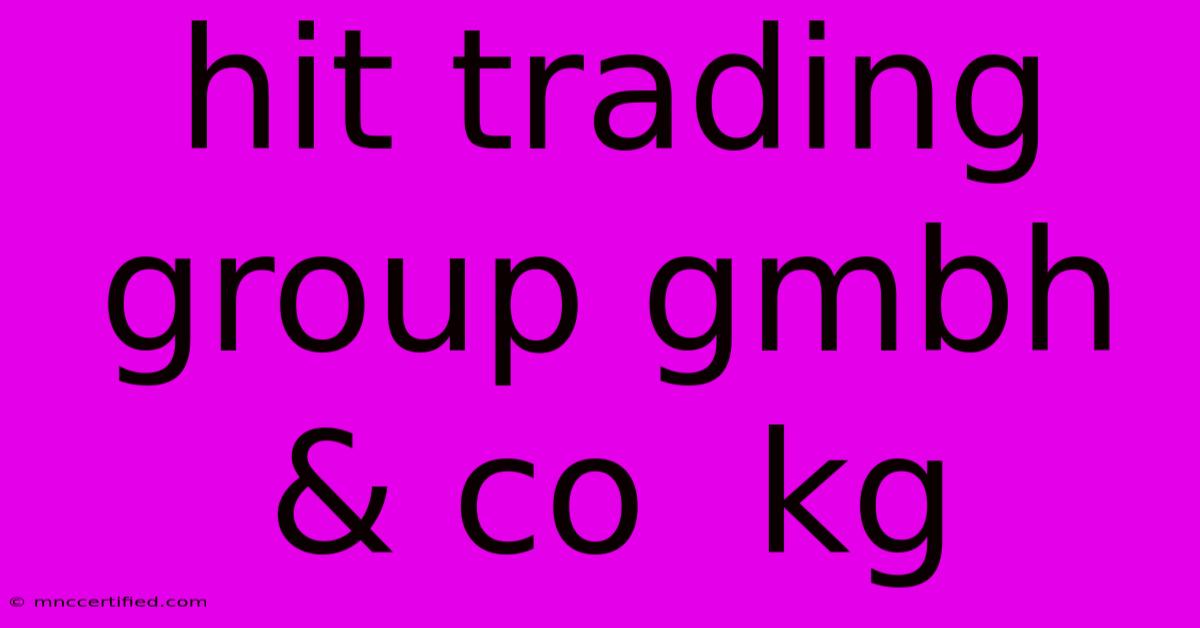 Hit Trading Group Gmbh & Co  Kg