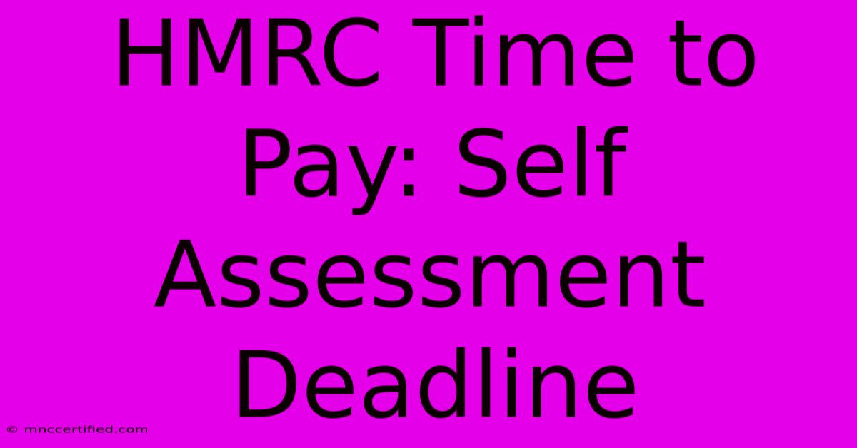 HMRC Time To Pay: Self Assessment Deadline