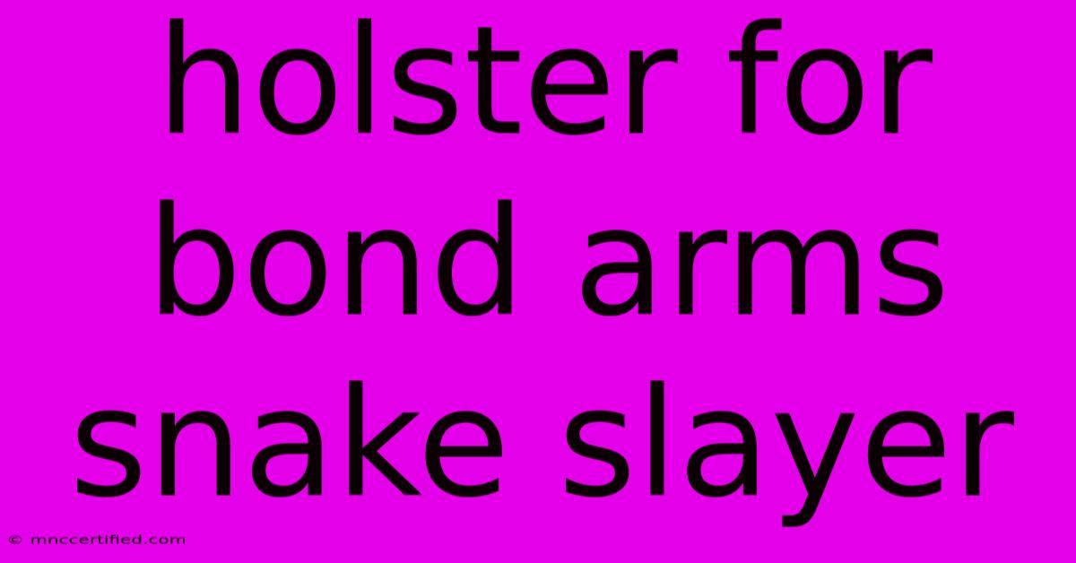 Holster For Bond Arms Snake Slayer