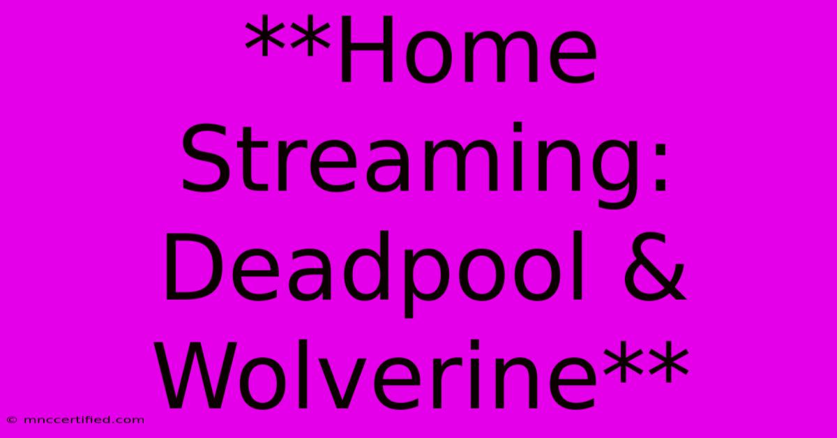 **Home Streaming: Deadpool & Wolverine**