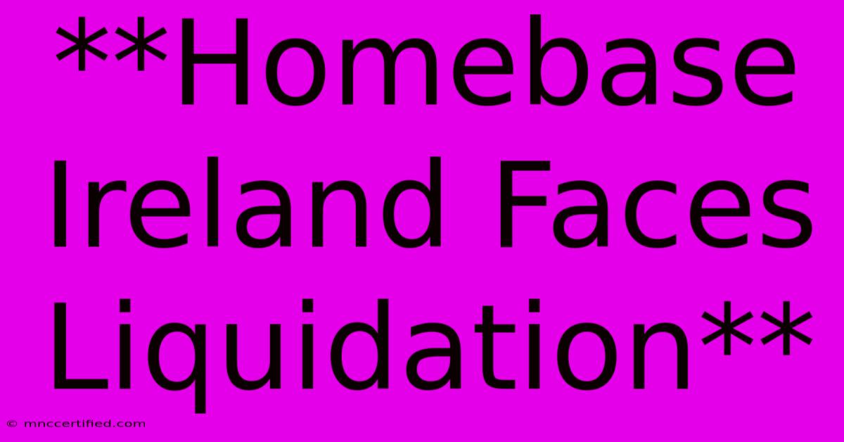 **Homebase Ireland Faces Liquidation** 