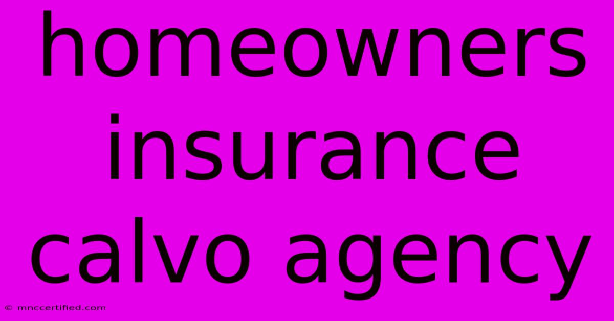 Homeowners Insurance Calvo Agency