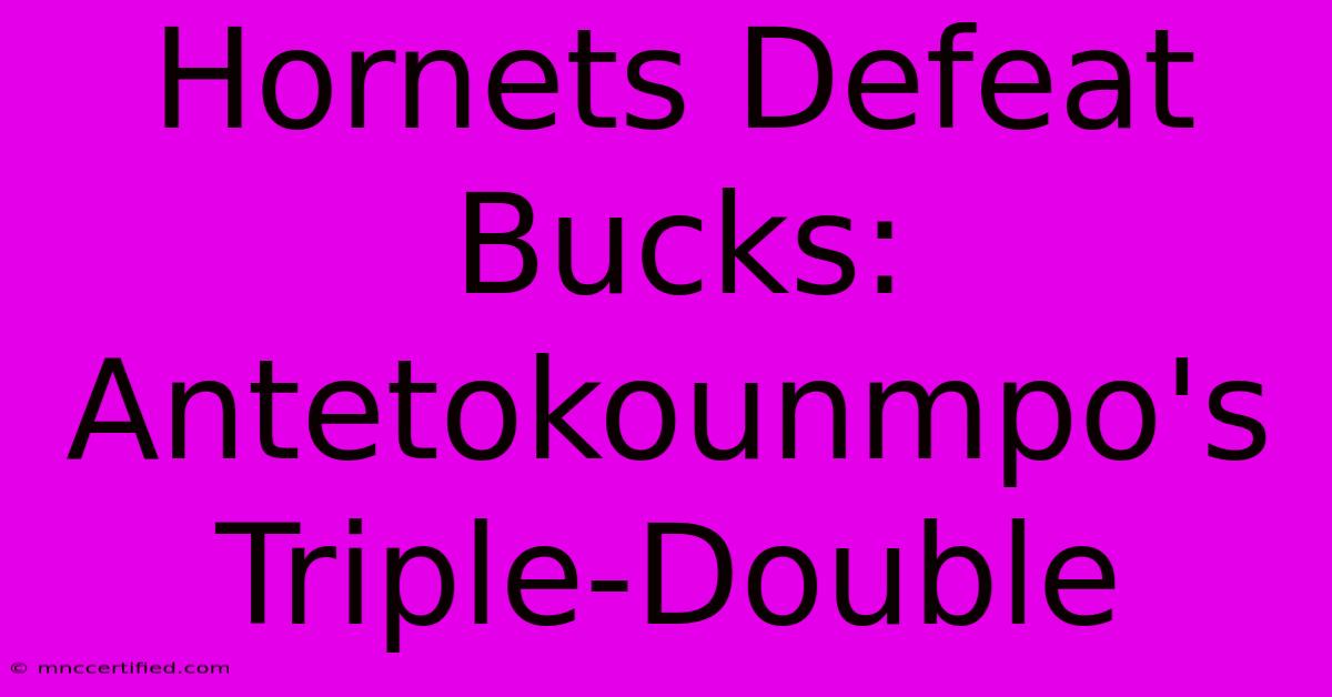 Hornets Defeat Bucks: Antetokounmpo's Triple-Double