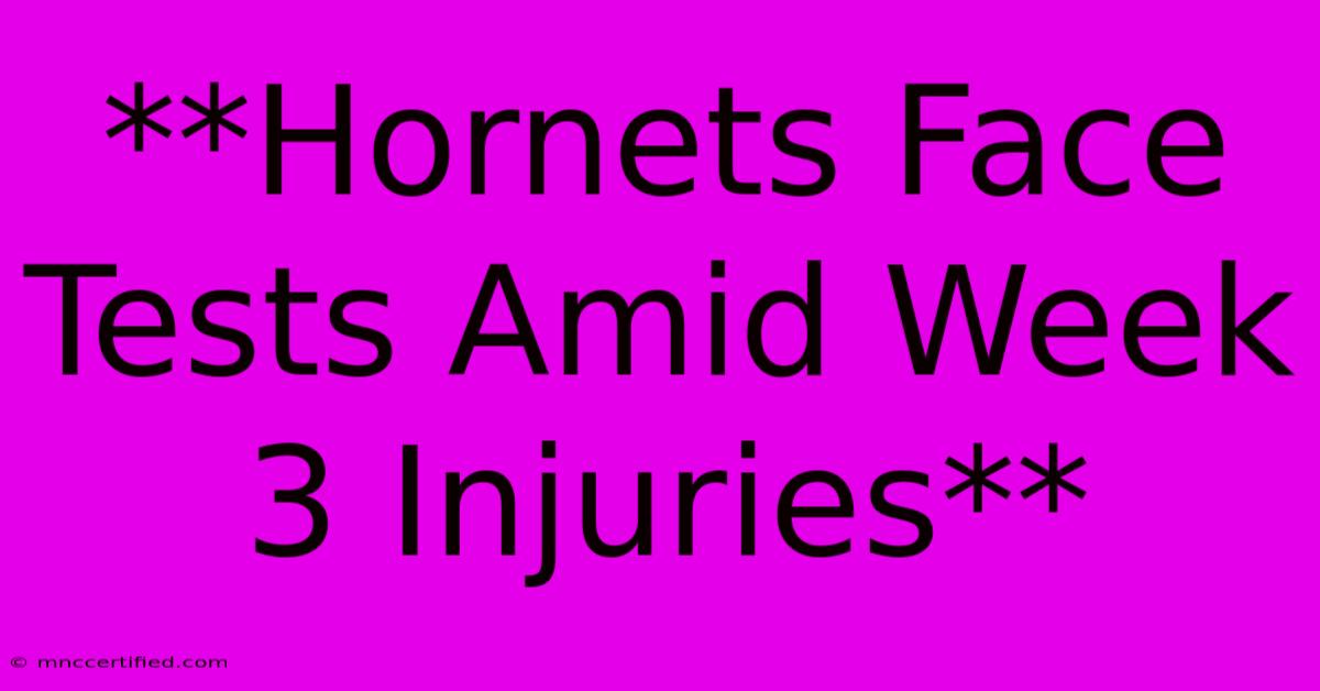 **Hornets Face Tests Amid Week 3 Injuries**