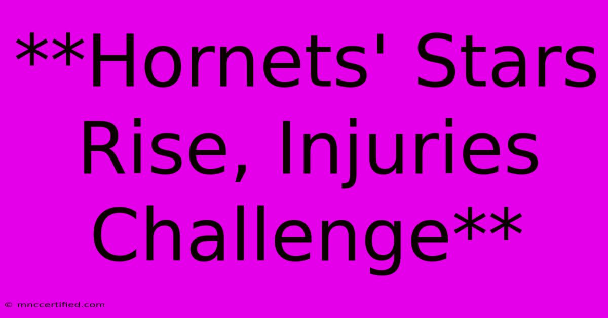 **Hornets' Stars Rise, Injuries Challenge**