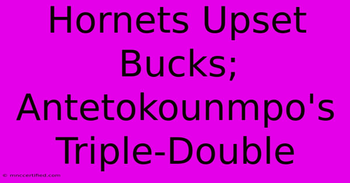 Hornets Upset Bucks; Antetokounmpo's Triple-Double