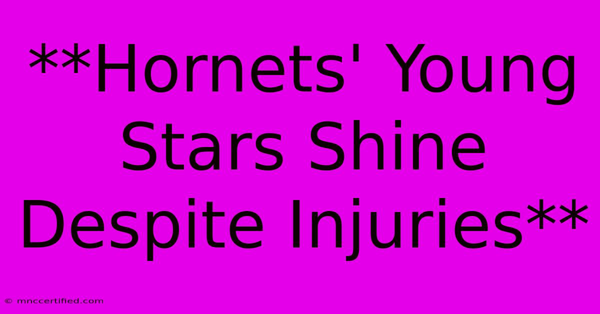 **Hornets' Young Stars Shine Despite Injuries**