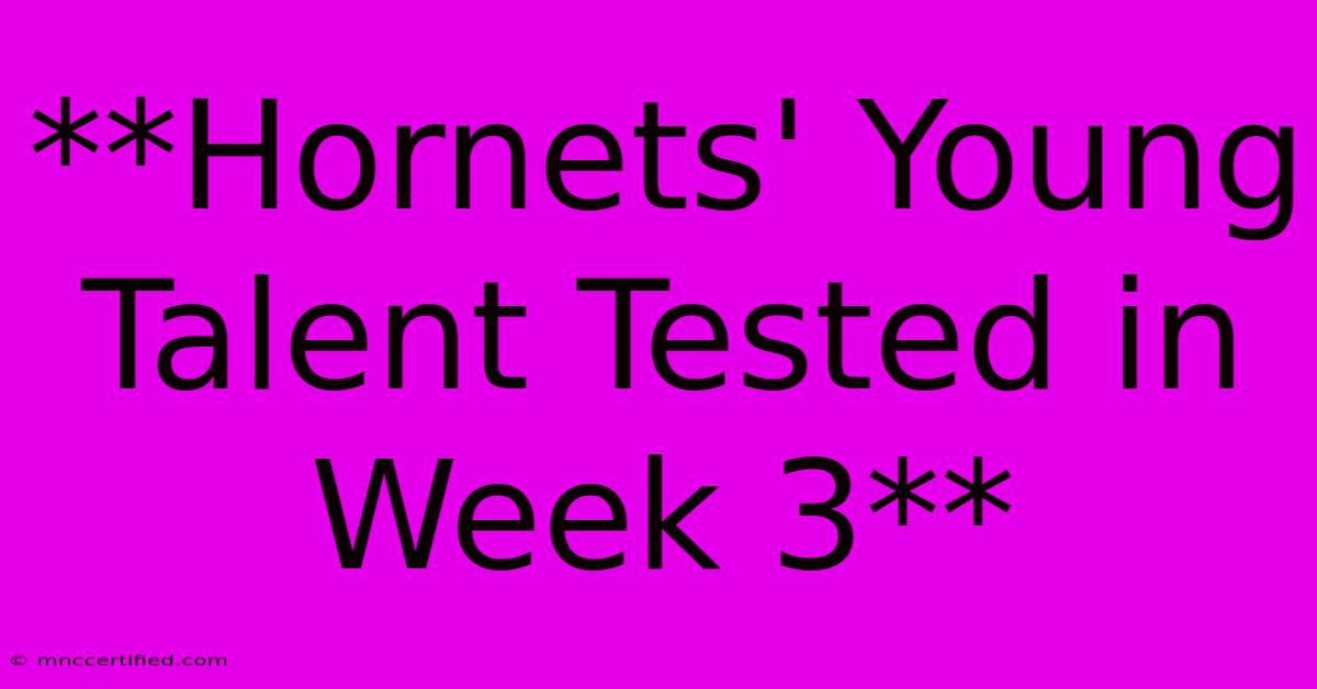 **Hornets' Young Talent Tested In Week 3** 