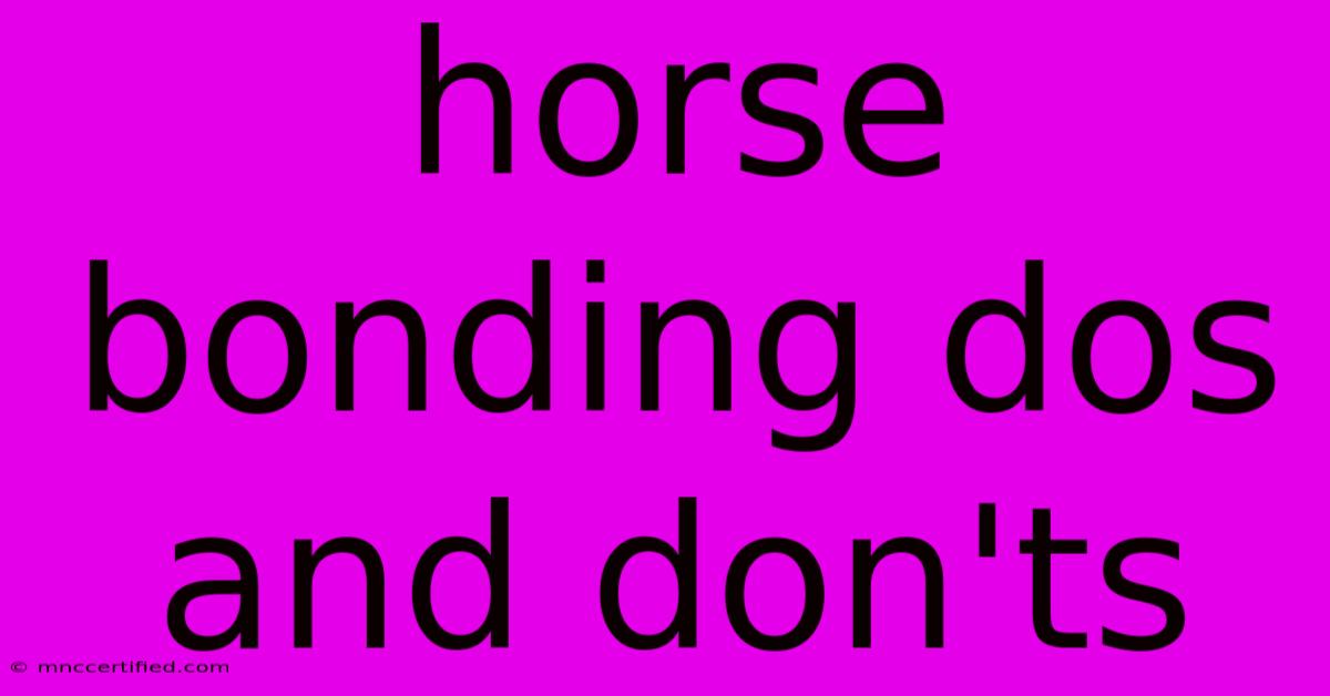 Horse Bonding Dos And Don'ts