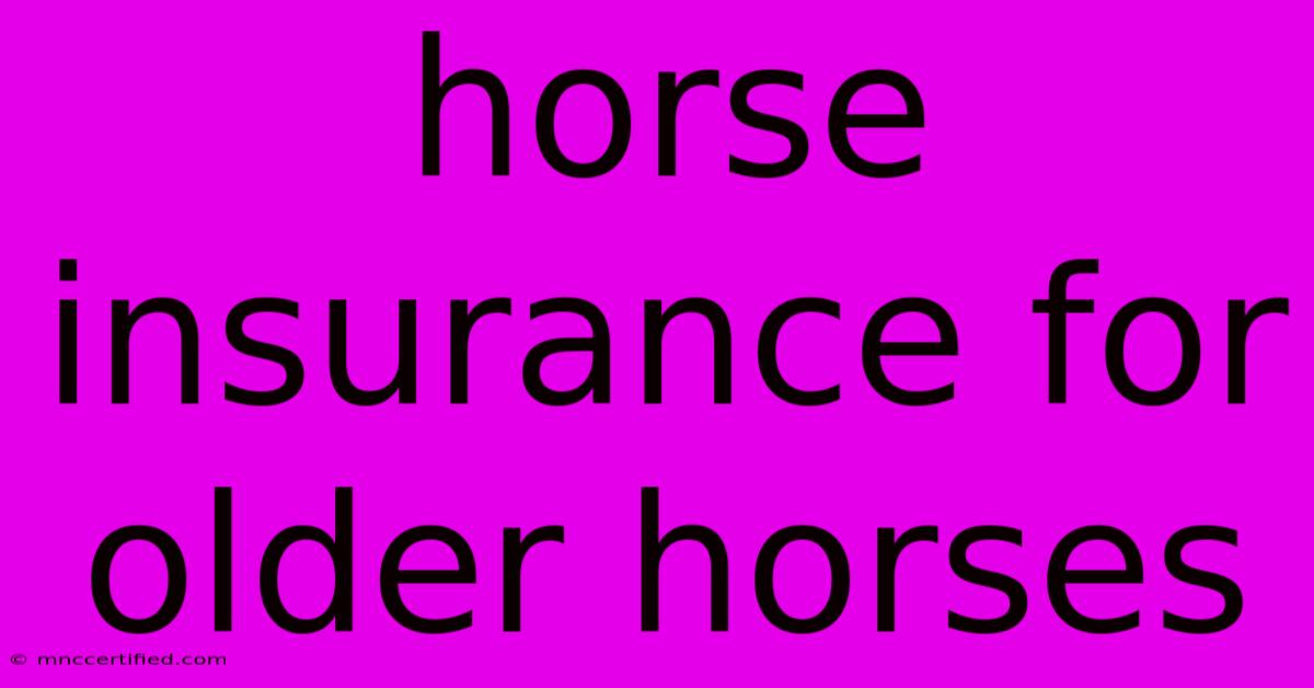 Horse Insurance For Older Horses