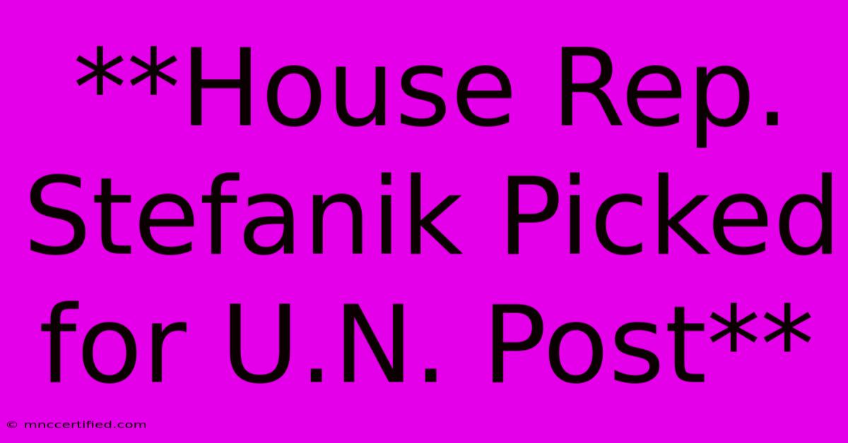 **House Rep. Stefanik Picked For U.N. Post** 