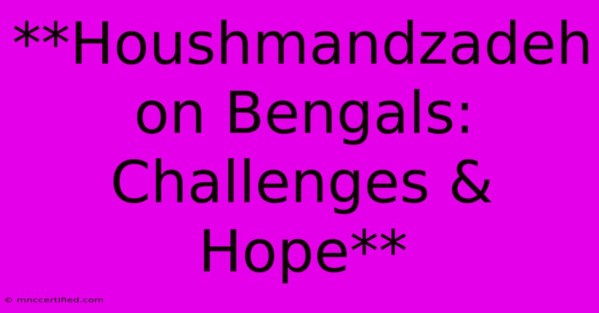 **Houshmandzadeh On Bengals: Challenges & Hope**