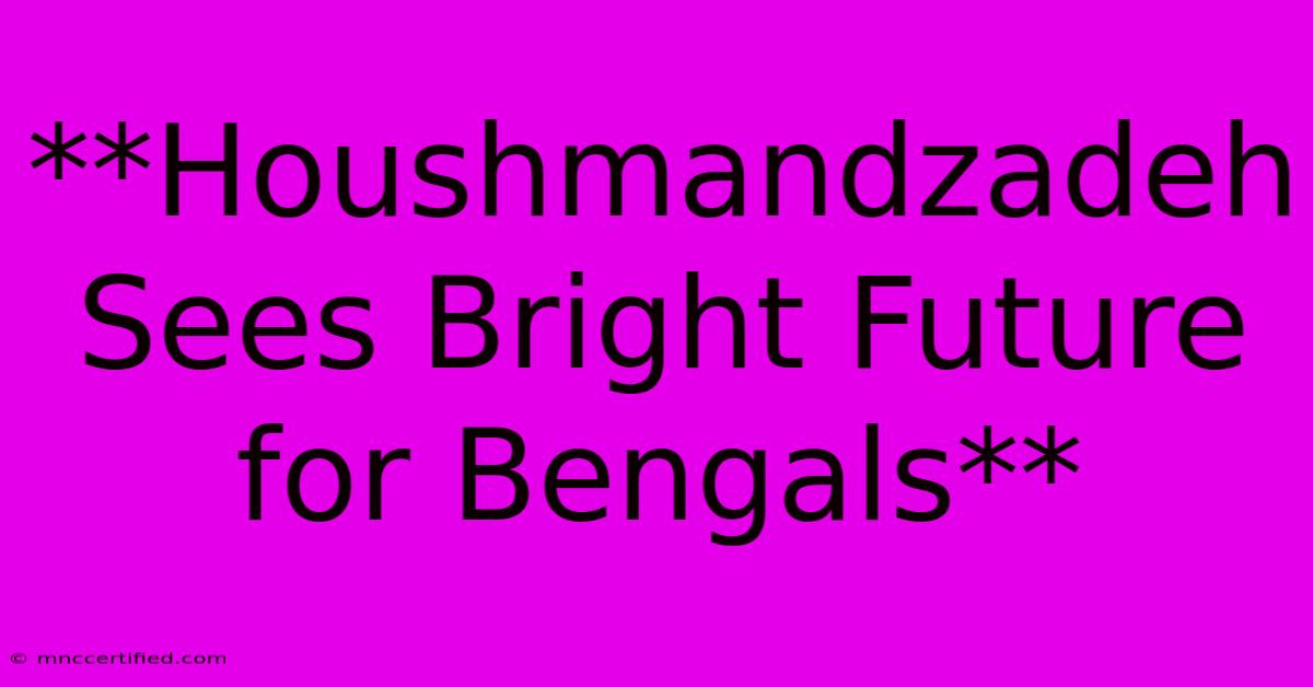 **Houshmandzadeh Sees Bright Future For Bengals**