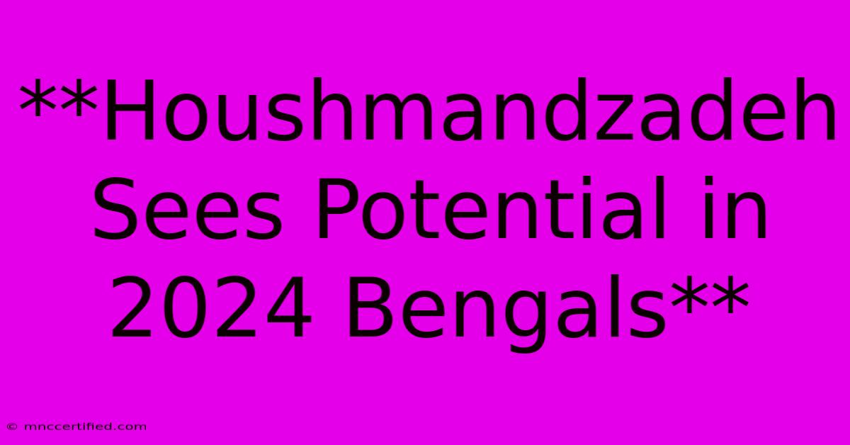 **Houshmandzadeh Sees Potential In 2024 Bengals**