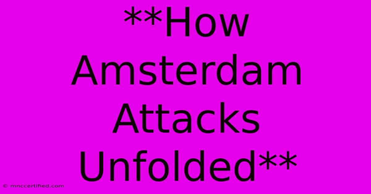 **How Amsterdam Attacks Unfolded**