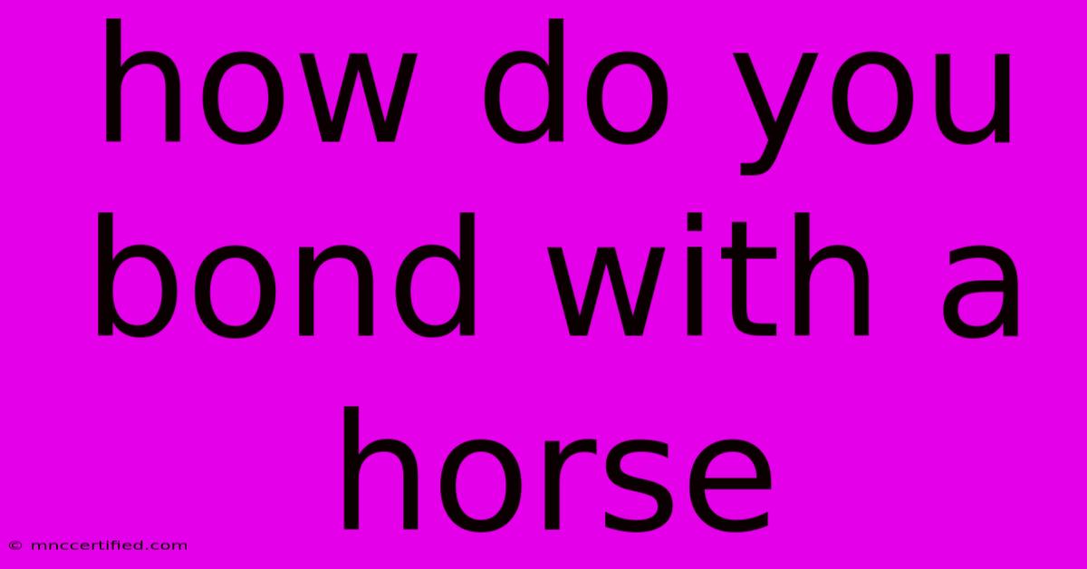 How Do You Bond With A Horse