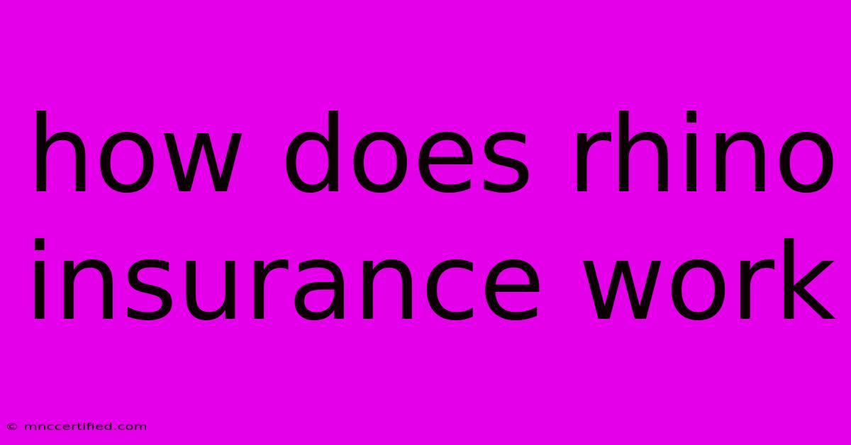 How Does Rhino Insurance Work