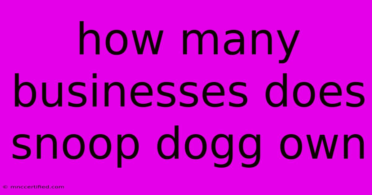 How Many Businesses Does Snoop Dogg Own