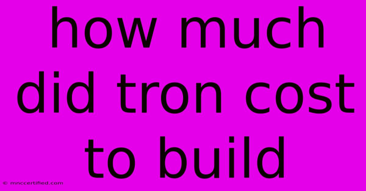 How Much Did Tron Cost To Build