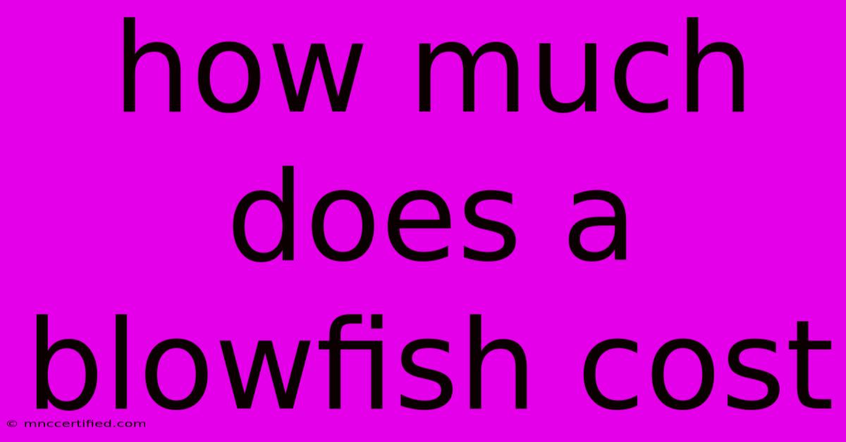 How Much Does A Blowfish Cost