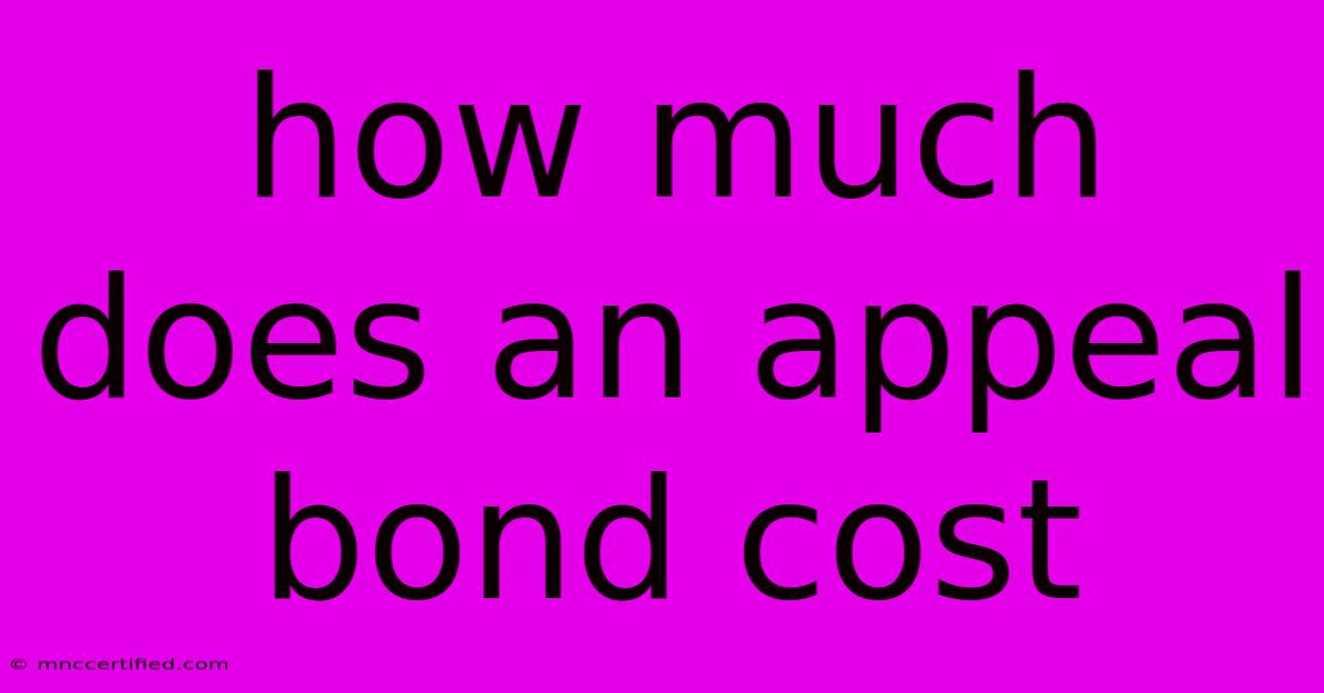 How Much Does An Appeal Bond Cost