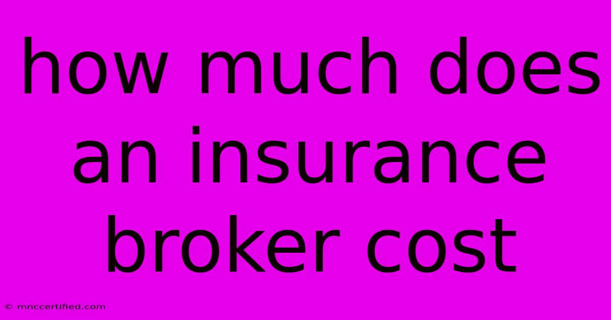 How Much Does An Insurance Broker Cost